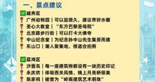 广州商务伴游手册：专业导游选择与市内交通出行全攻略