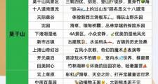 南京商务伴游全方位推荐：资质专业度考察及优势解析