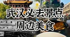武汉游玩找私人伴游好去处，景区美食街周边全知道