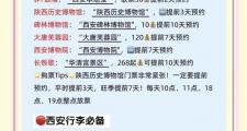 西安商务陪同游实用手册：正规选导与规划行程关键要点
