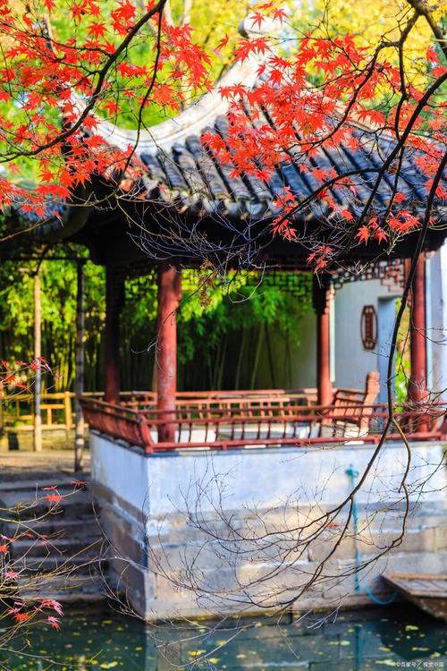 苏州园林之旅：探寻美景与友谊的邂逅，结识新朋友的绝佳去处