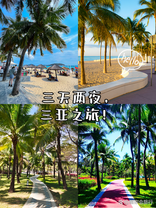 三亚海滨之旅：邂逅海滩之约，结识志趣相投伙伴