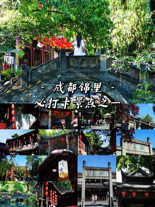 成都交友_成都旅行交友指南_指南猫旅行手机版