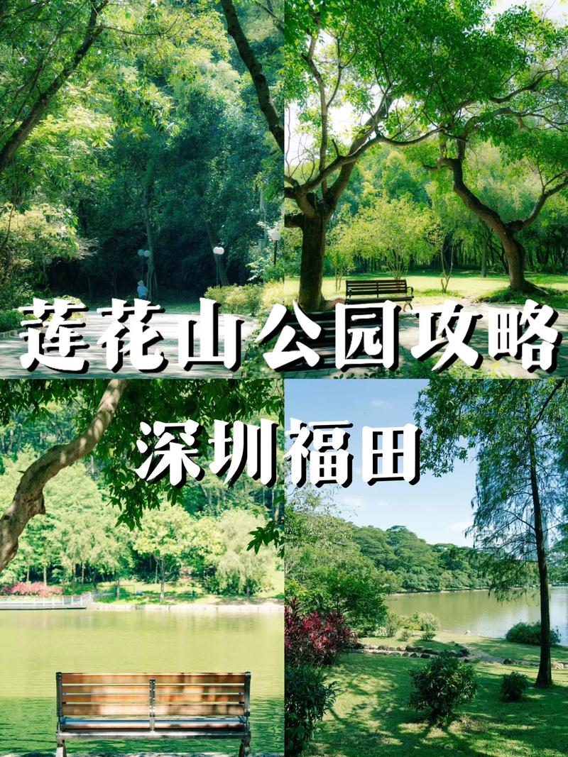 深圳旅行交友推荐_深圳旅游交友群_深圳哪里有交友活动
