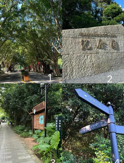 深圳哪里有交友活动_深圳旅行交友推荐_深圳旅游交友群