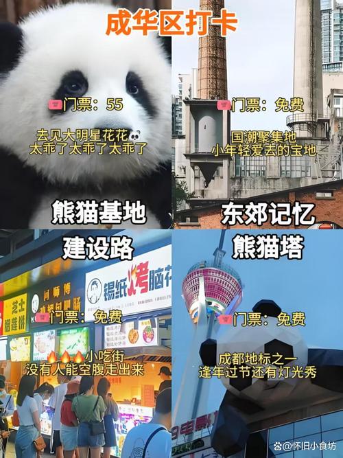 成都私人伴游体验_成都伴游费用一般多少_成都伴游去哪里找