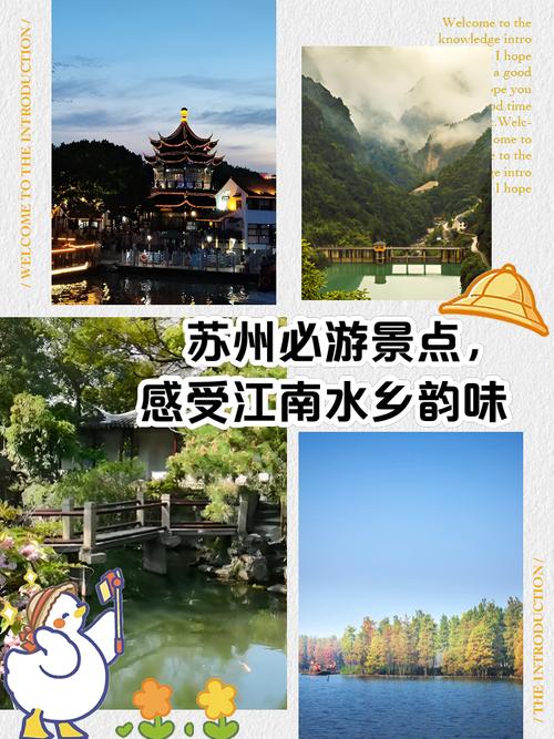 苏州私人导游推荐：如何挑选专业导游让您的江南之旅更完美