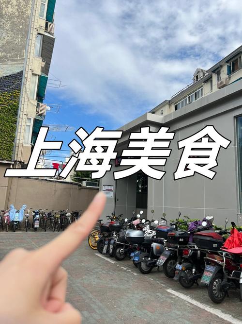 上海旅行交友怎么样_上海交友中心_上海本地交友