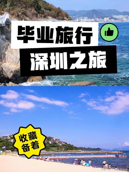 深圳私人导游体验：如何规划一次难忘的文化与活力之旅
