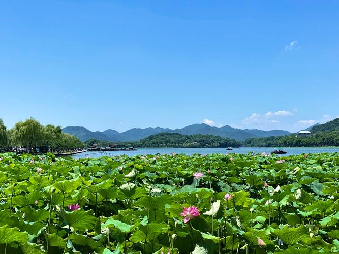 交友旅游的景点_交友旅游_杭州旅行交友怎么样